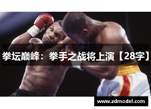 拳坛巅峰：拳手之战将上演【28字】